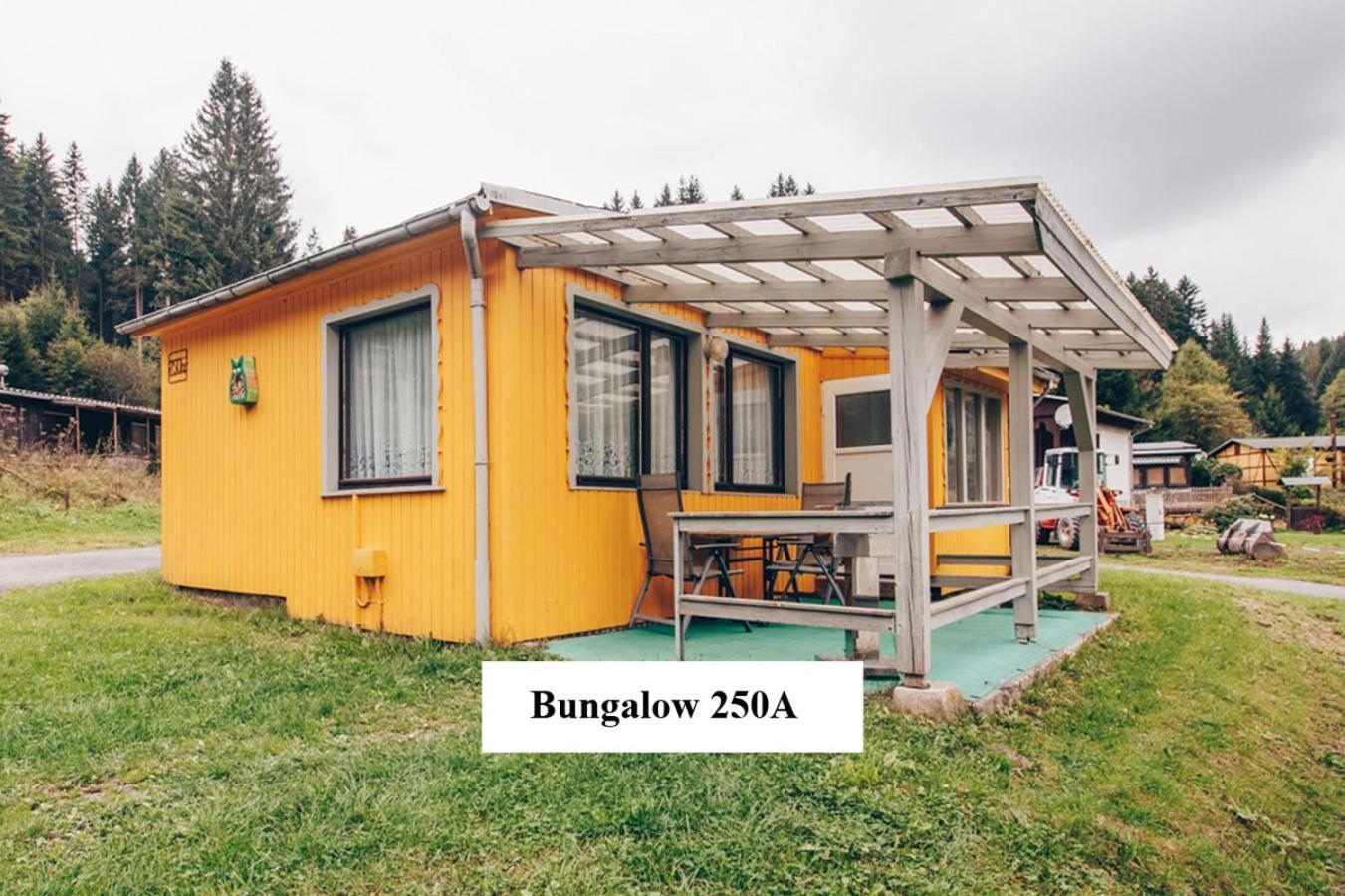 Ferienhaeuser & Bungalows - Naturcamp Meyersgrund Im Thueringer Wald Ilmenau Exterior foto